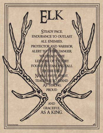 Elk Prayer Wall Art Poster - Nature Inspired Wildlife Decor