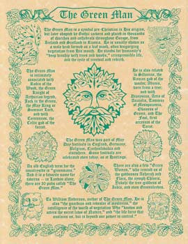 Greenman Botanical Illustration Art Poster