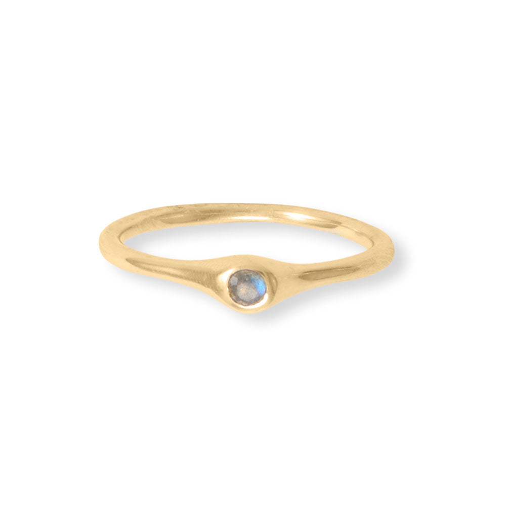 Life in Color! 14 Karat Gold Plated Five Ring Set