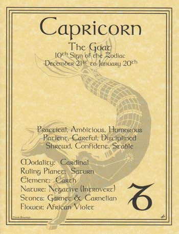 Capricorn Zodiac Constellation Minimalist Art Poster