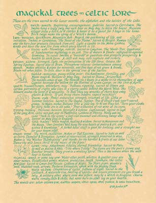 Celtic Tree of Life Art Print Poster