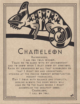 Chameleon Prayer Artistic Wall Poster