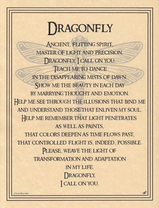 Vintage Dragonfly Illustration Art Print Poster