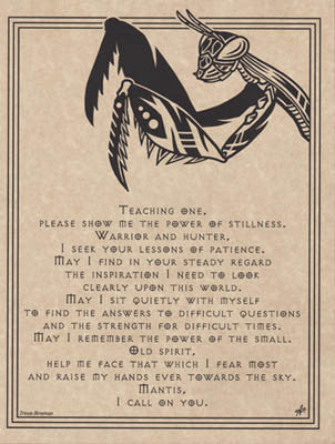 Mantis Prayer Artistic Wall Art Poster