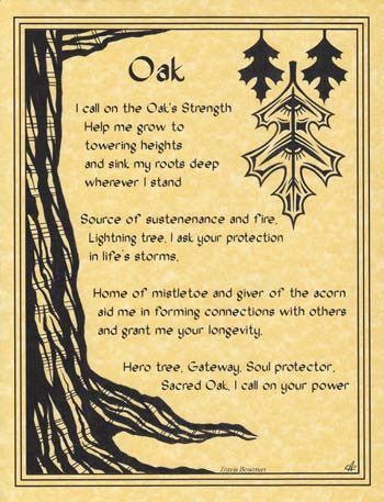 Minimalist Oak Wood Grain Wall Art Poster