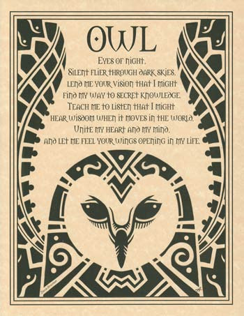 Hand-Illustrated Minimalist Great Horned Owl Art Poster