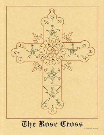 Vintage Rose Cross Botanical Illustration Wall Art Poster