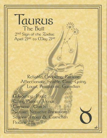 Taurus Zodiac Constellation Art Print Poster