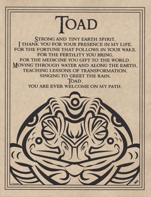 Whimsical Toad Blessing Art Print Poster