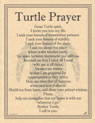 Turtle Prayer Wall Art Poster - Spiritual Sea Turtle Illustration