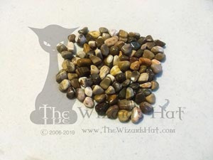 Natural Tumbled Petrified Wood Stones - 10 Piece Set, Pea Size
