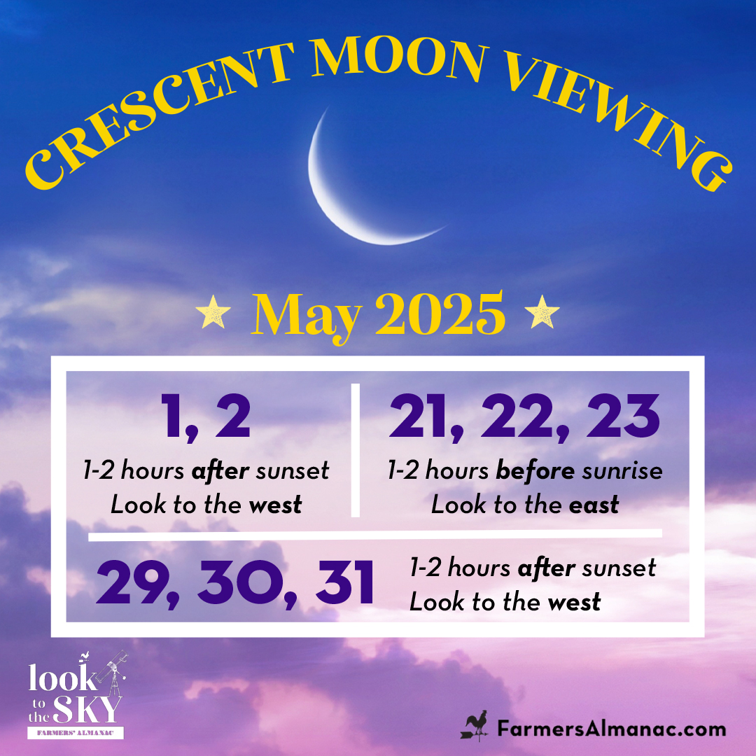 Moon Viewing schedule May 2025